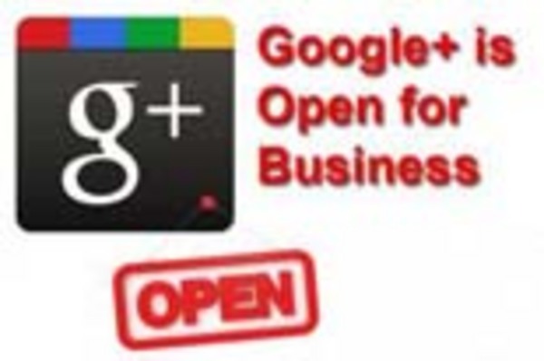 Product picture Google+ Business Blueprint